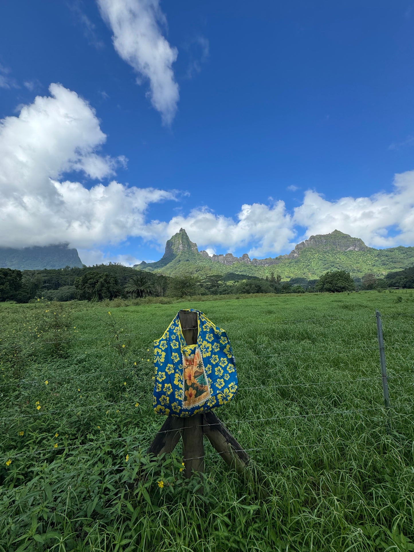 YELLOW TAHITI