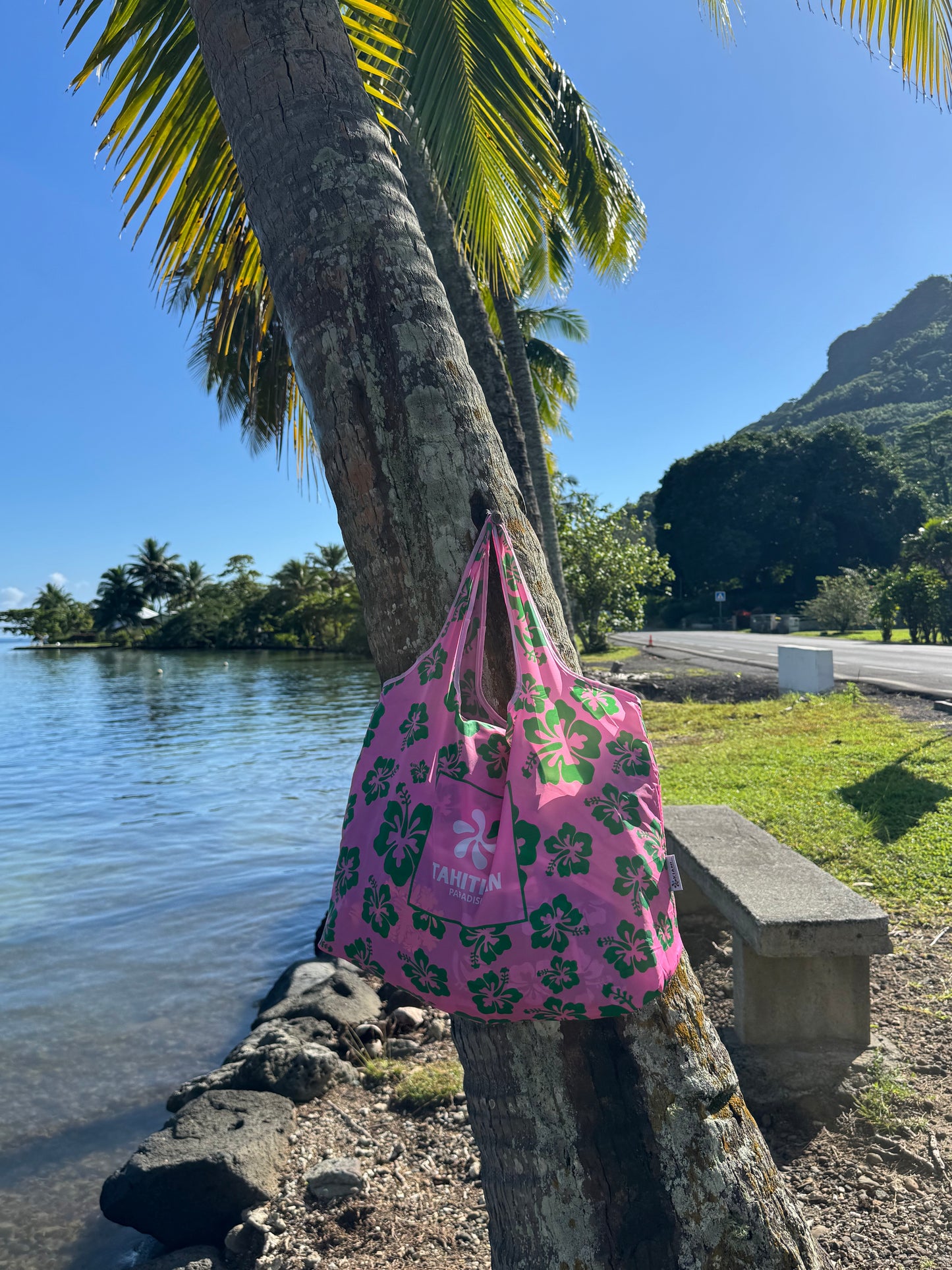 PINK PARADISE